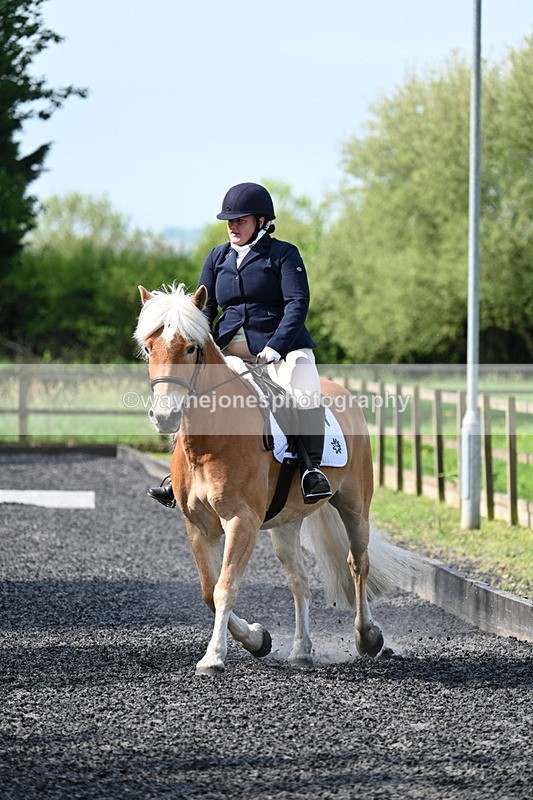 WJ7_7979 - Time 10:11 to 10:27