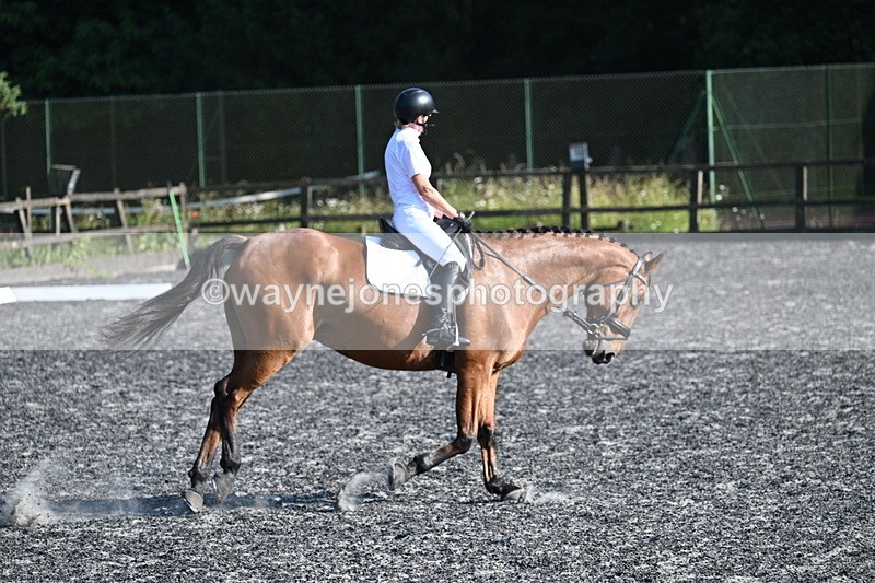 WJ7_8874 - Time 17:51 to 18:30