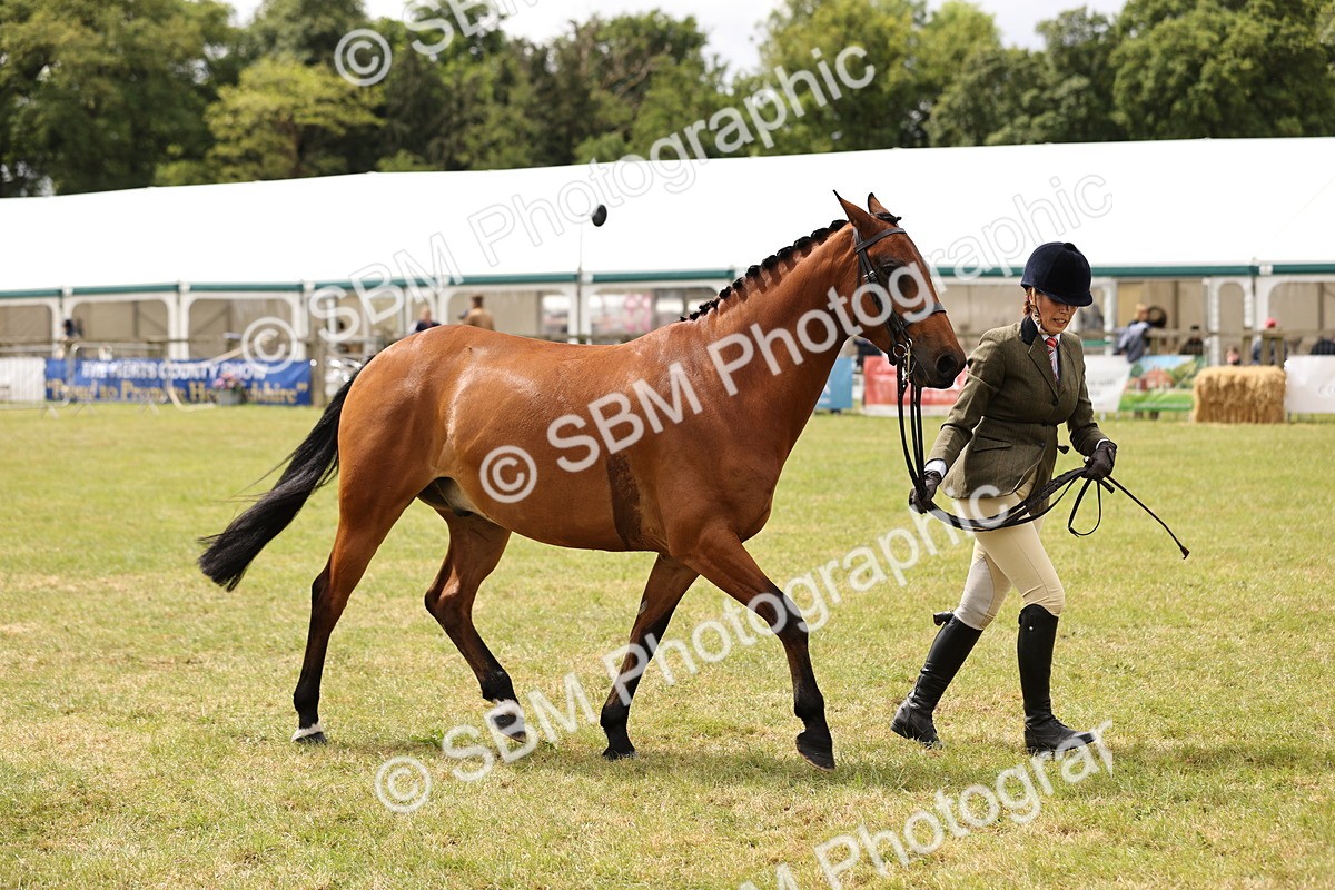 SBM_14603 - Class 88-89 - LIHS BSHA Rising Star of Ridden Hunter Type