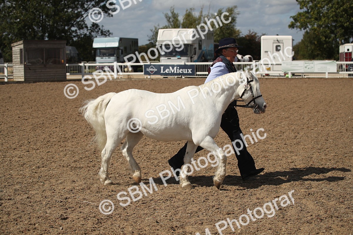 SBM_23519 - Class 605 - 2026 - Area - IH Veteran