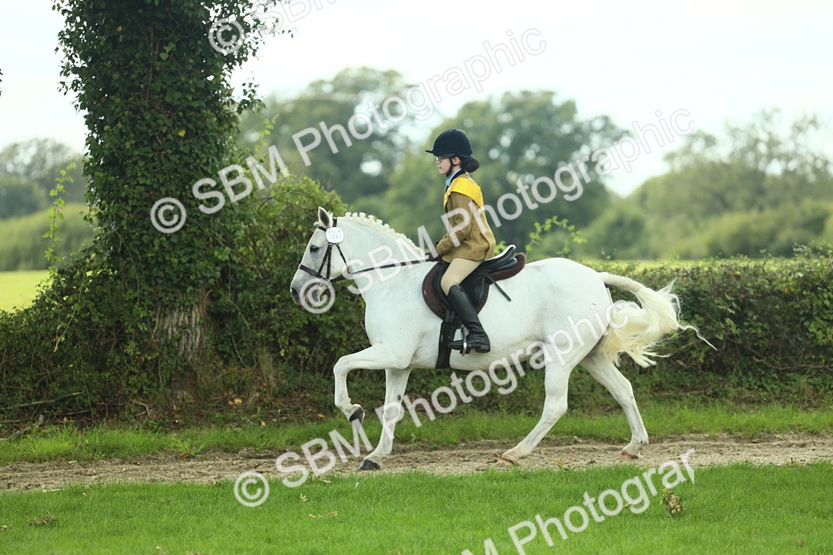 SBM_44941 - Working Hunter Pony Supreme Championship