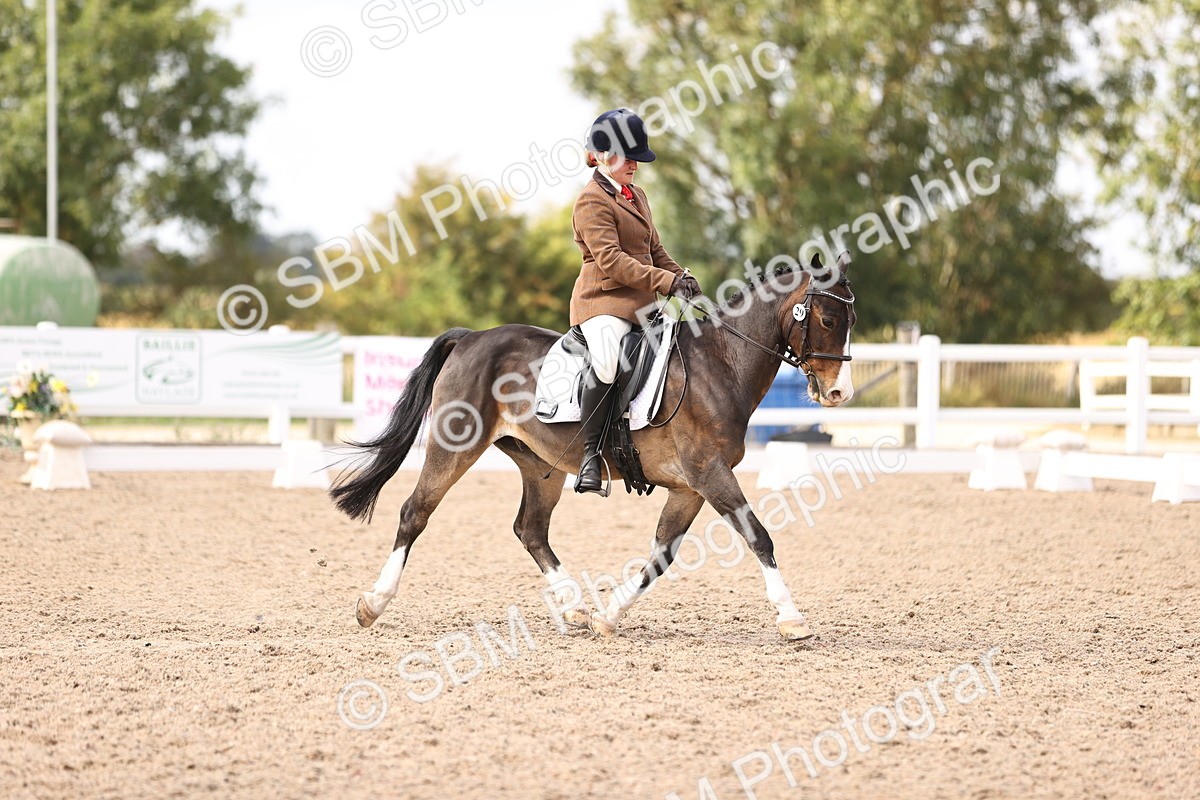 SBM_06062 - Class 37 Novice 5