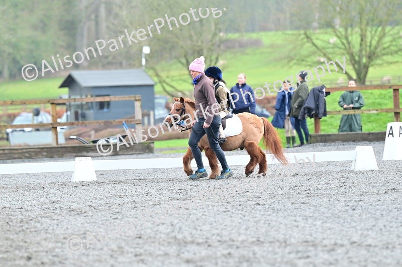 20260125-0920 - Class 9a - Walk Trot Assisted