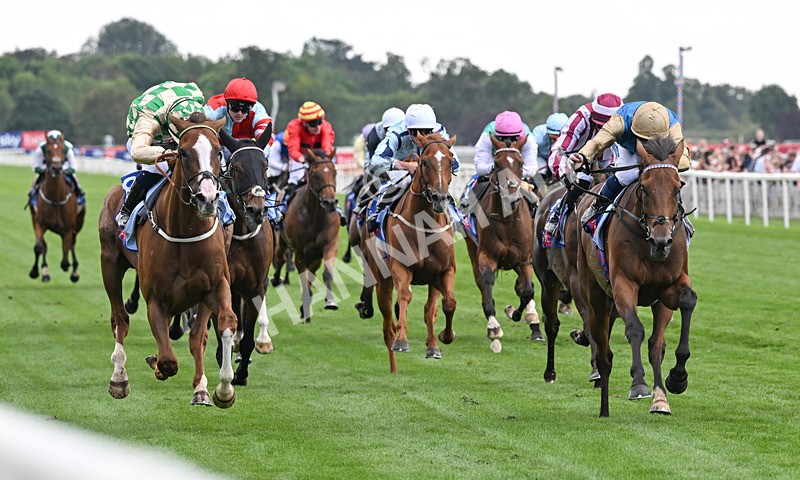 220826-140 Daiquiri Bay - Race 4 15.35pm Sky Bet Ebor Handicap
