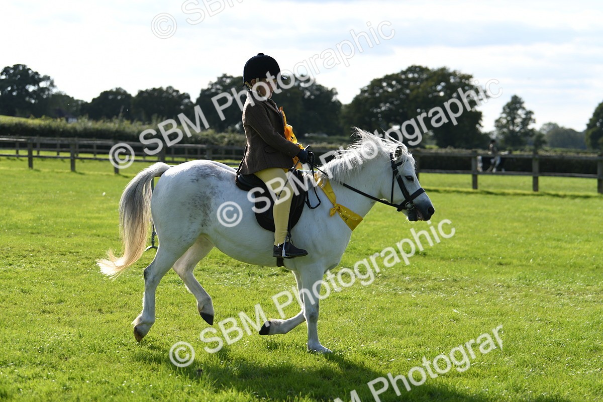 SBM_50512 - S21 - Novice & Newcomers 1st Ridden Pony