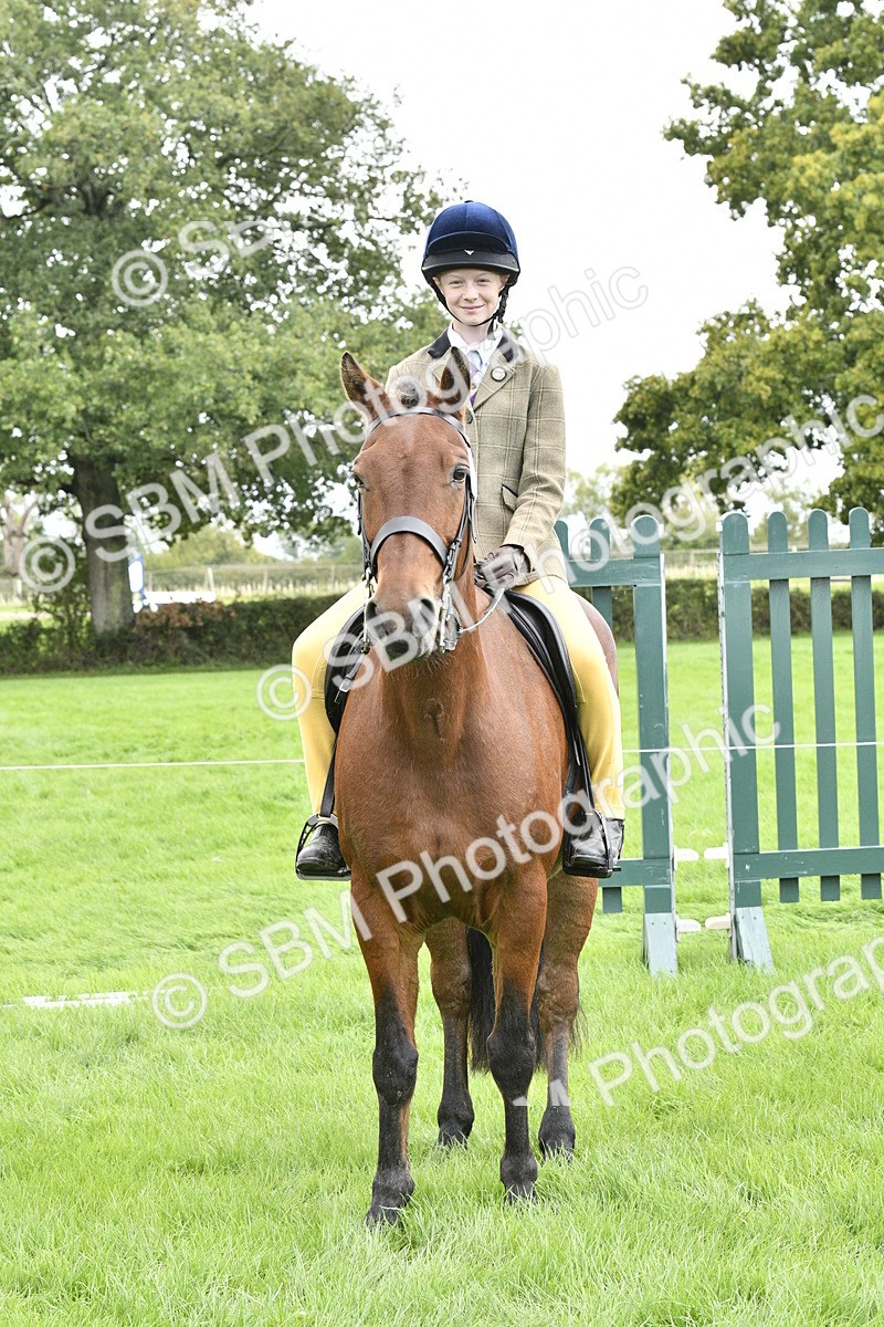 SBM_41612 - S32 - Mountain & Moorland Working Hunter Pony