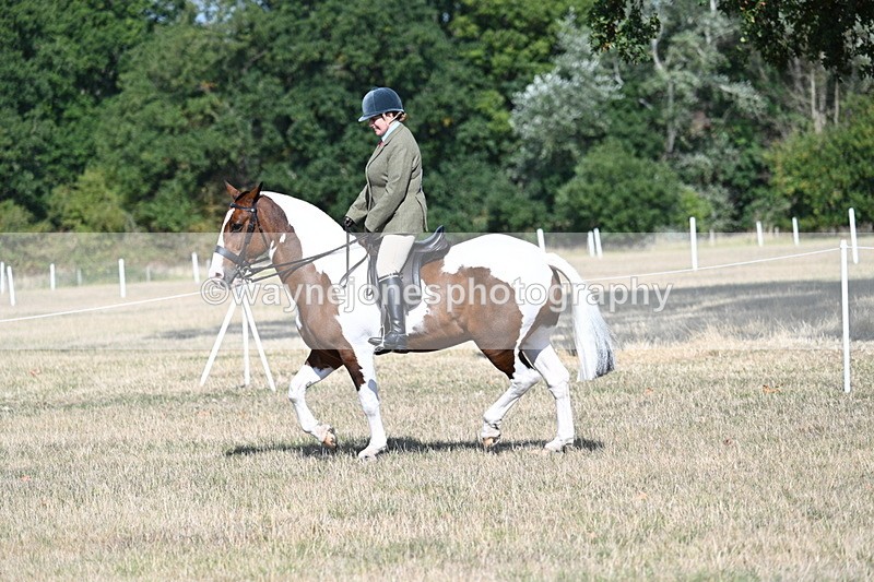 WJ7_2842 - Class 8 Ridden Tack & Turnout