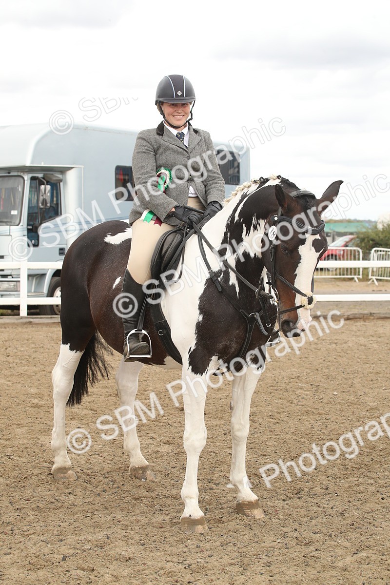 SBM_16704 - Class 507a - Working Veteran - 60cm (15-19)