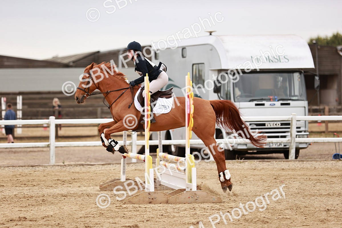 SBM_008956 - Class 5 - 80cm