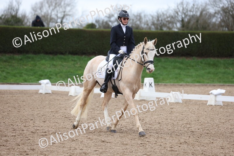 20260301-0459 - Class 3 - Novice 4