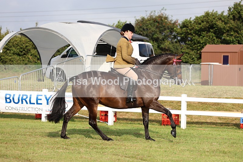 3E7A7697 - Class 1: Rising Star Small Hack/Riding Horses