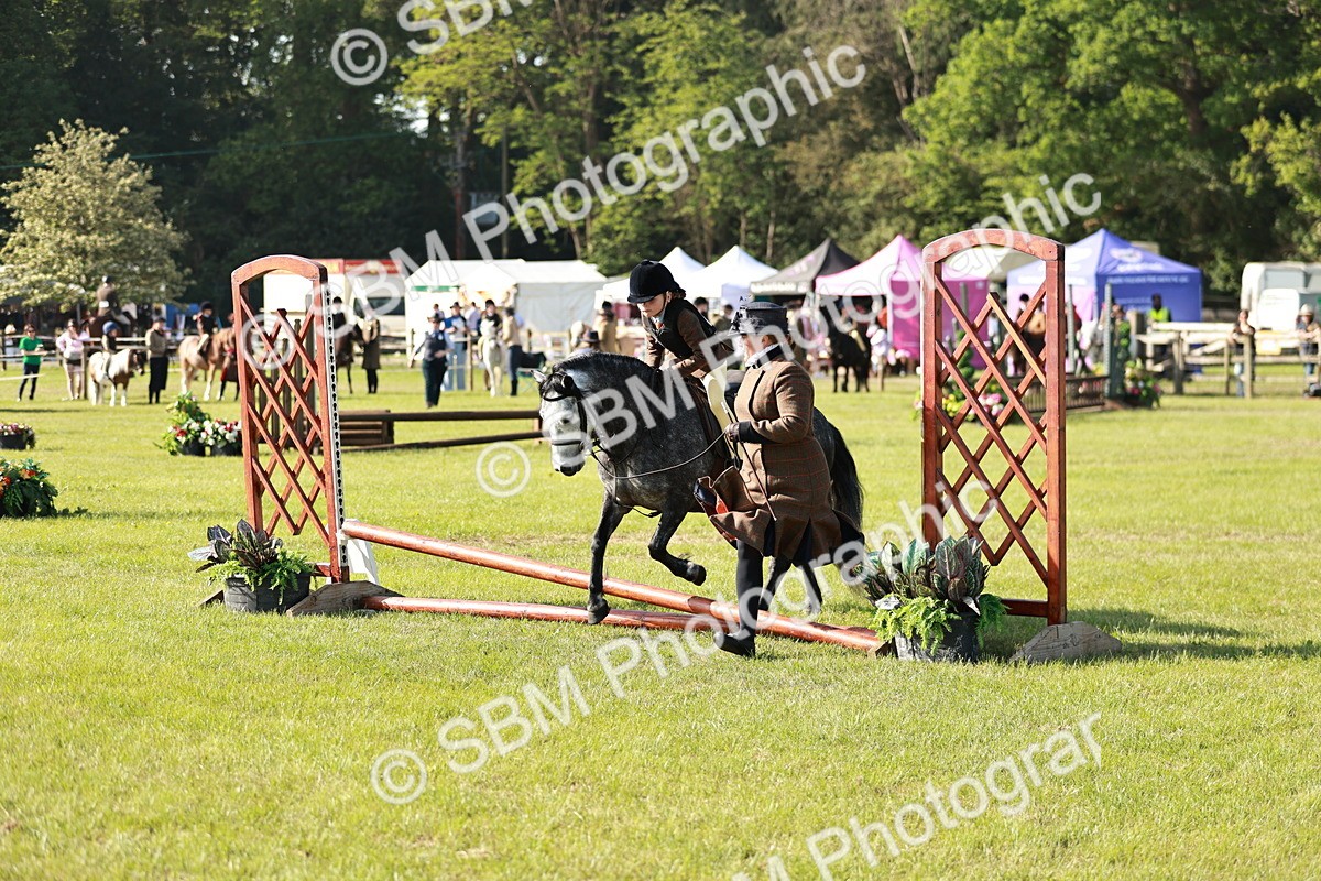 SBM_11225 - Class 106-107 - BSPS LIHS Working Sports Pony