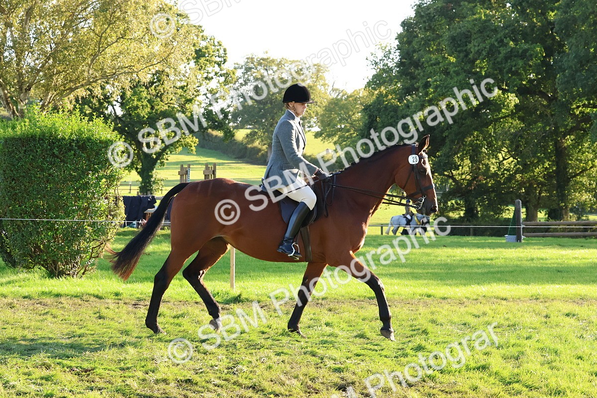 SBM_52996 - S29 - Mature Veteran Ridden