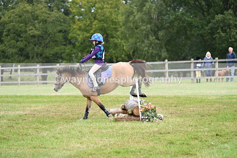 WJ7_7165 - 40cm Time 10:06 to 10:24