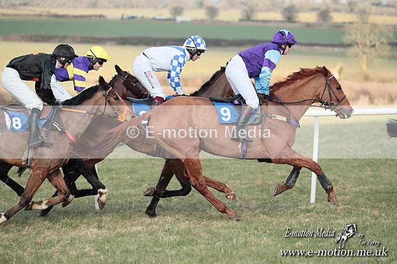 PtP 010325 464 - Beaufort Races Didmarton 01/03/25