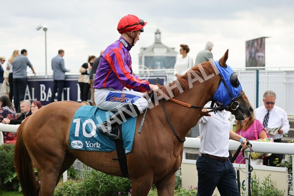 yr04092022r2-6 - Race 2 2.20pm John and Judith Marshall Memorial Stakes