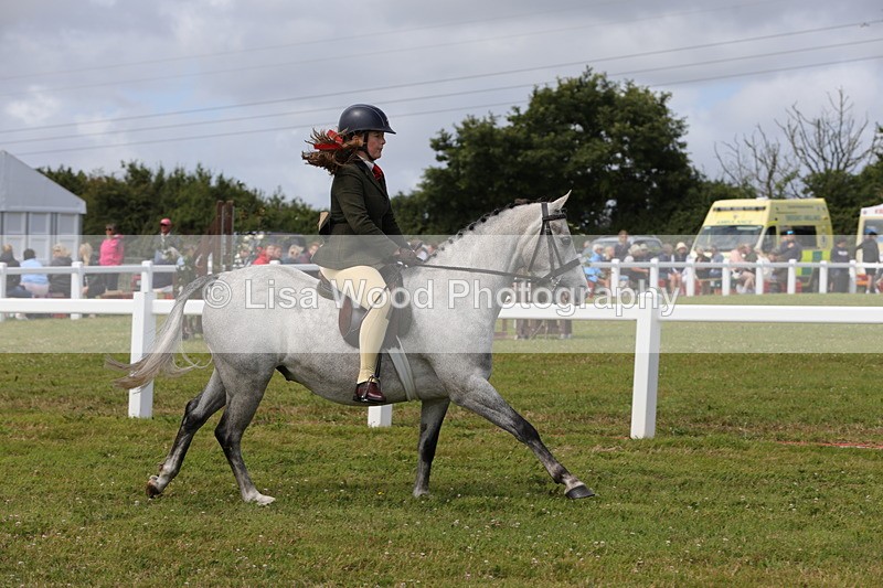 1X9A3993 - Class 32: Show Hunter Pony 153cm and under