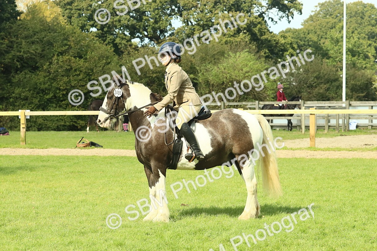 SBM_67528 - S56 - Coloured Pony Ridden