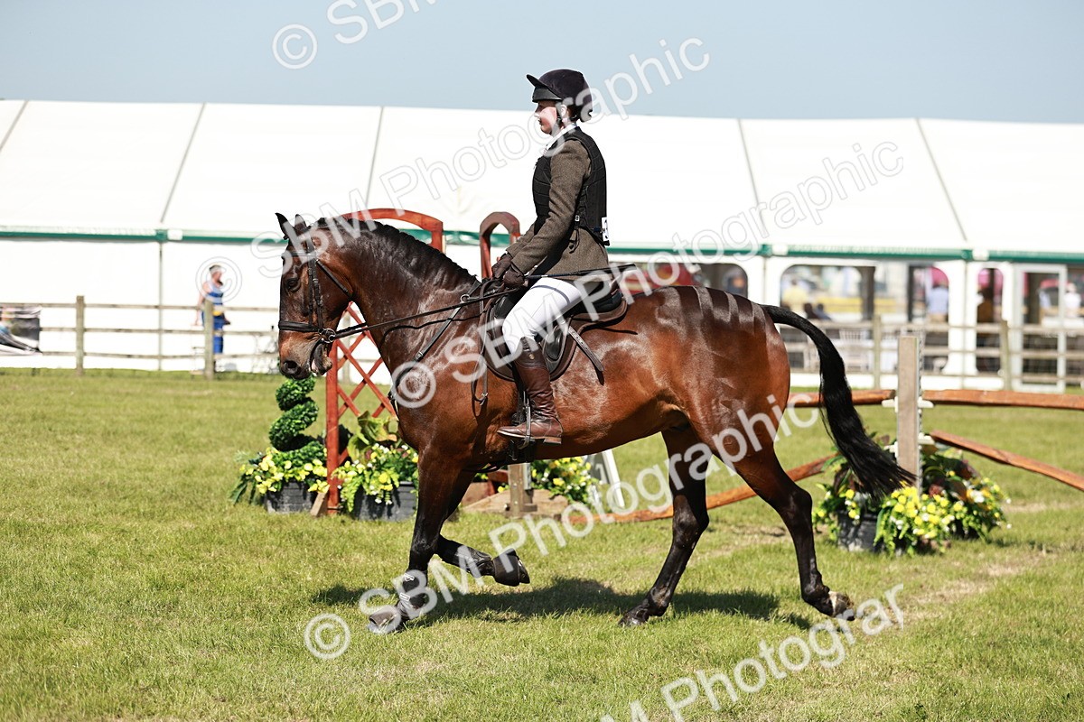SBM_18414 - Class 112-113 - BSPS LIHS Working Sports Pony