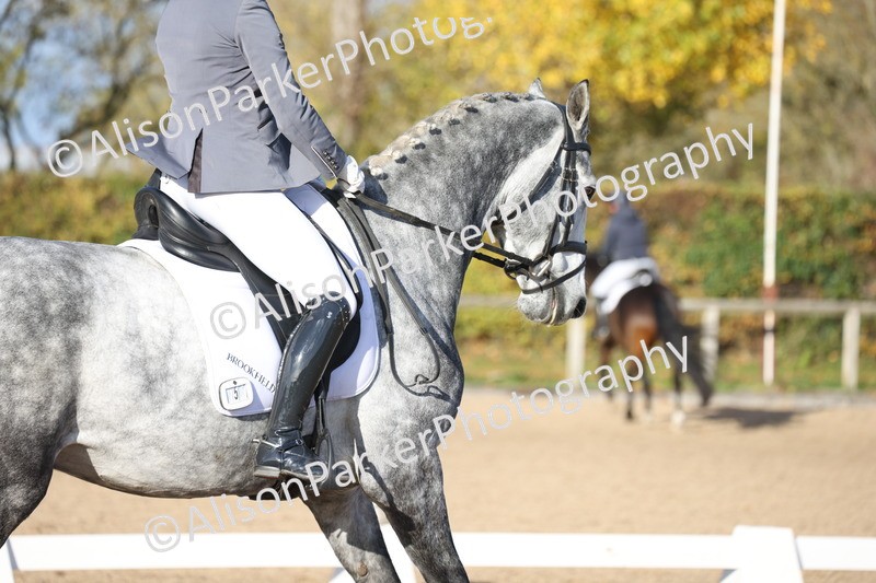 20251102-1169 - Class 6 - Elementary 6