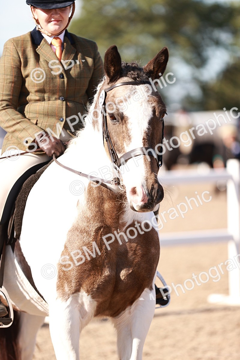 SBM_12522 - Class 403 - Grassroots Ridden - Junior