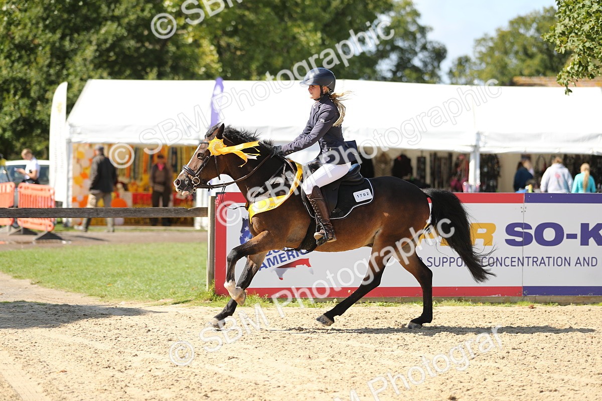 SBM_04831 - J28 - Senior Horse & Pony 60cm Championships