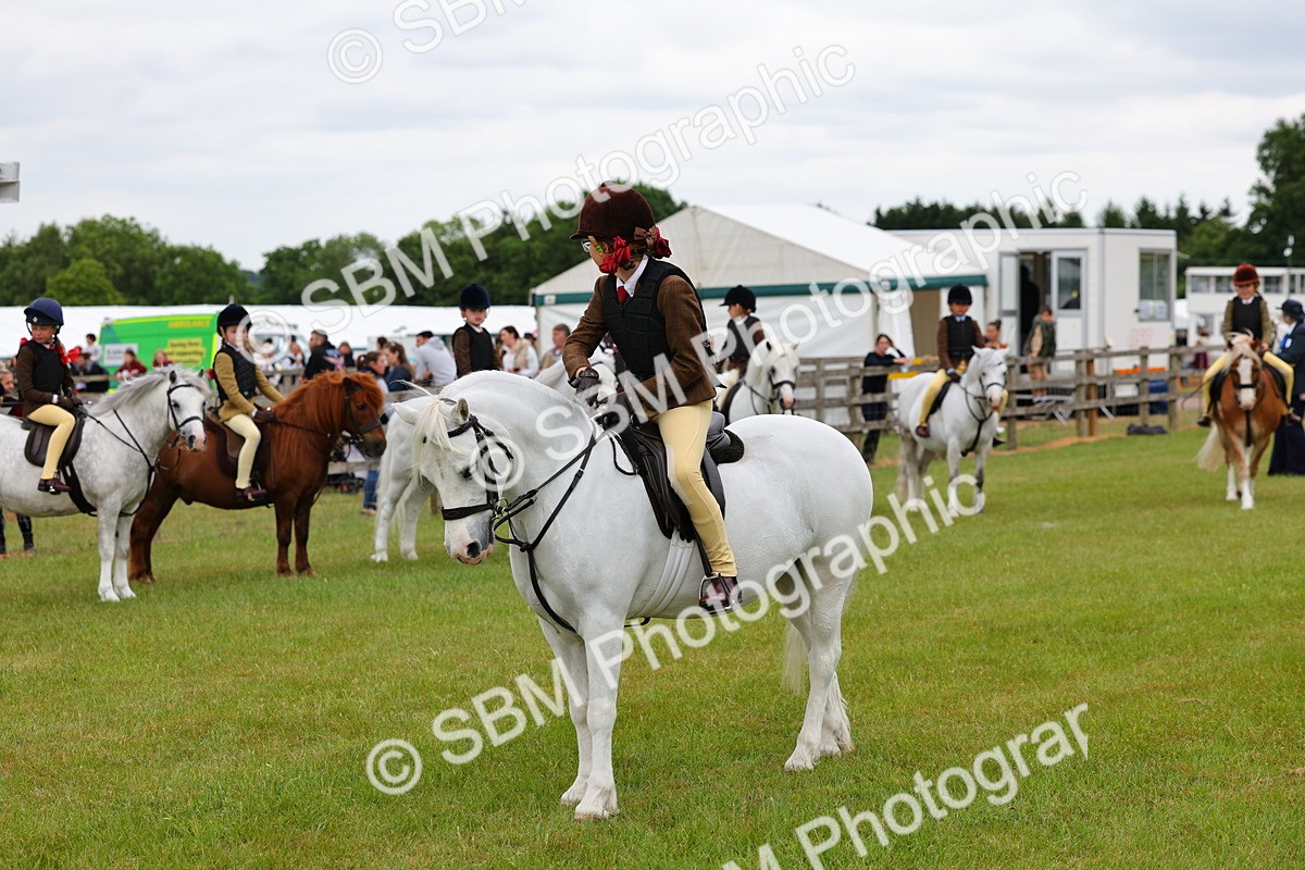 SBM_08731 - Class 42-43 - LIHS BSPS Heritage Working Sports Pony