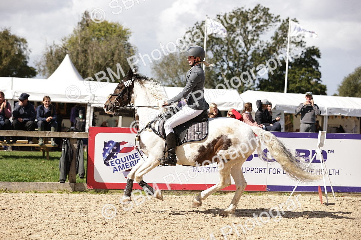 SBM_18619 - Supreme Championship