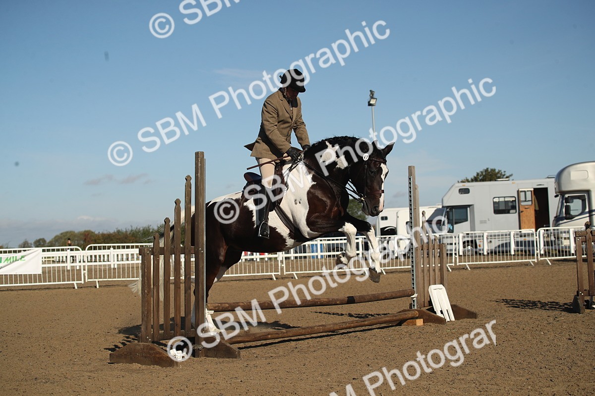 SBM_11340 - Class 501 -Riding Club Pony
