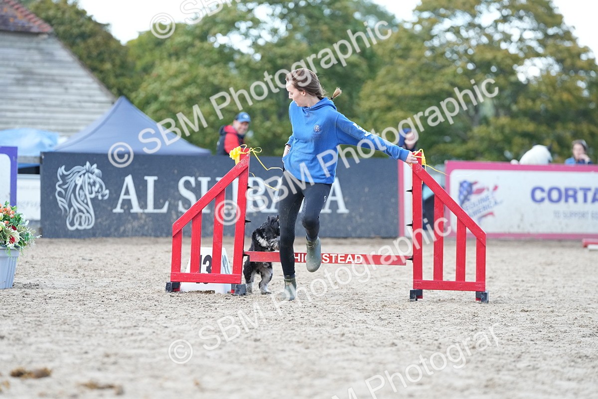 SBM_29185 - J43 - Horse & Hound Open 50cm