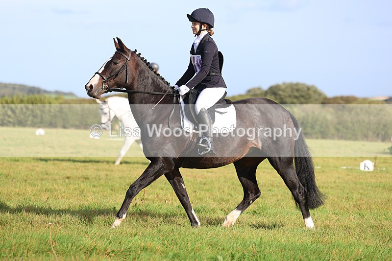 3E7A5599 - Class 1: Trebudannon Open: Dressage