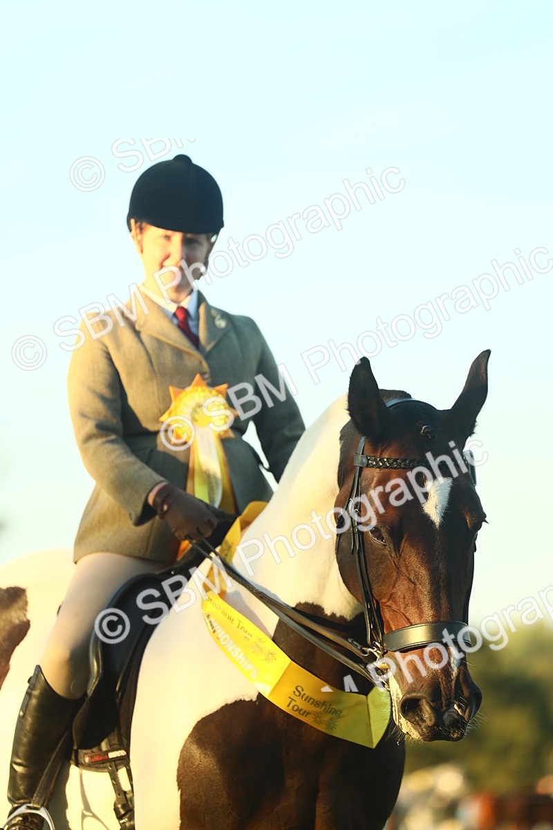 SBM_56531 - S14 - Riding Club Horse