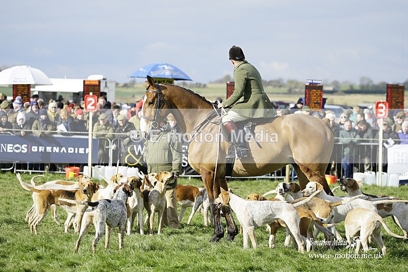 PtP 060322 301 - Blackmore & Sparkford Vale Hunt PtP 06/03/22
