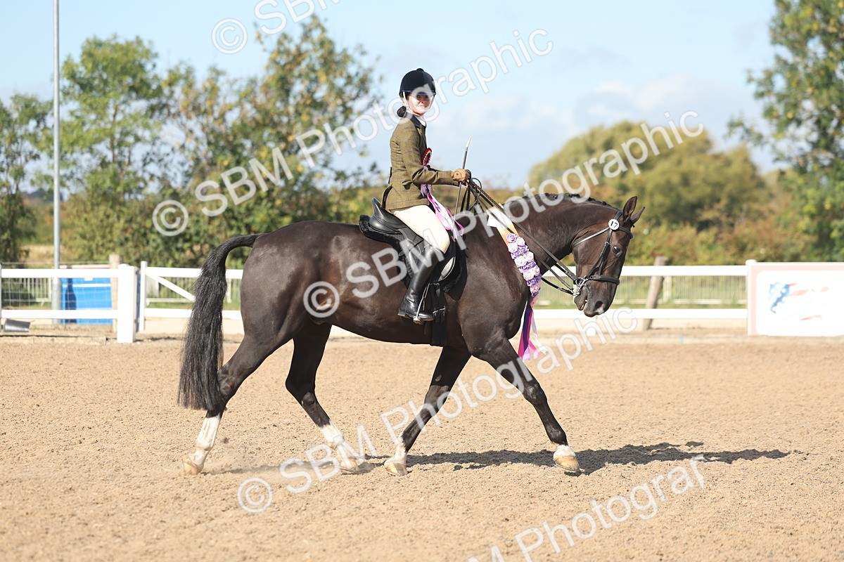 SBM_22695 - Class 805 - Ridden Veteran Horse