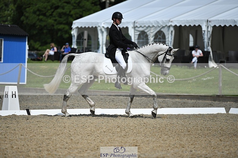 230525-103123-01728 - 313-LOUISBOURG_C-Jack_Whiteford-WEDTrotUp+DR