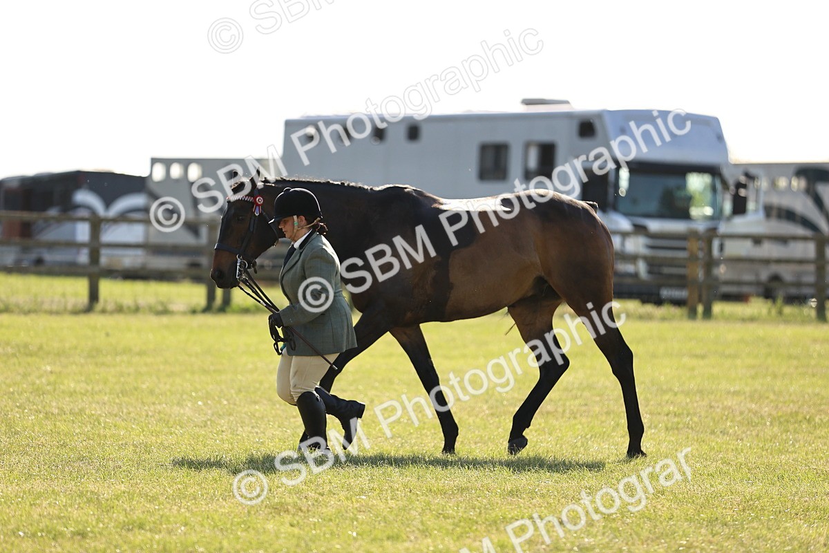 SBM_19758 - Class 87-88 - RIHS BSHA Riding Horses