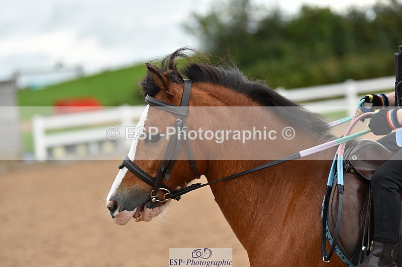 230803A-161450-01338 - Thomasina's Group Ride