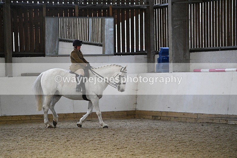 WJ5_8888 - Class 15 Ridden Show Horse