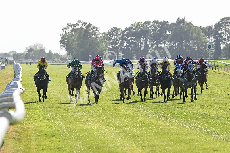 170525-Race 8-So Grateful-8982 - Race 8