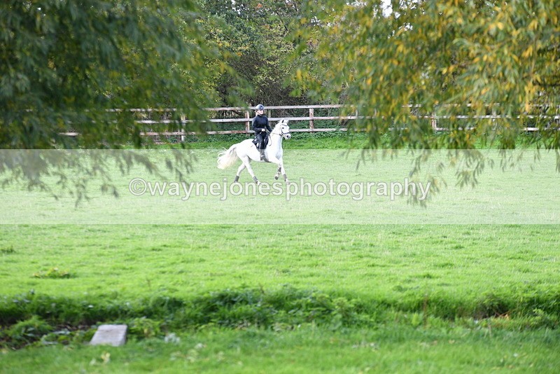 WJ5_8003 - Time 10:31 to 12:01