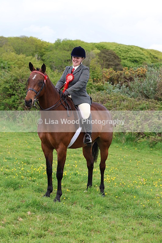 3E7A1900 - Class 9: Riding Club Horse/Pony