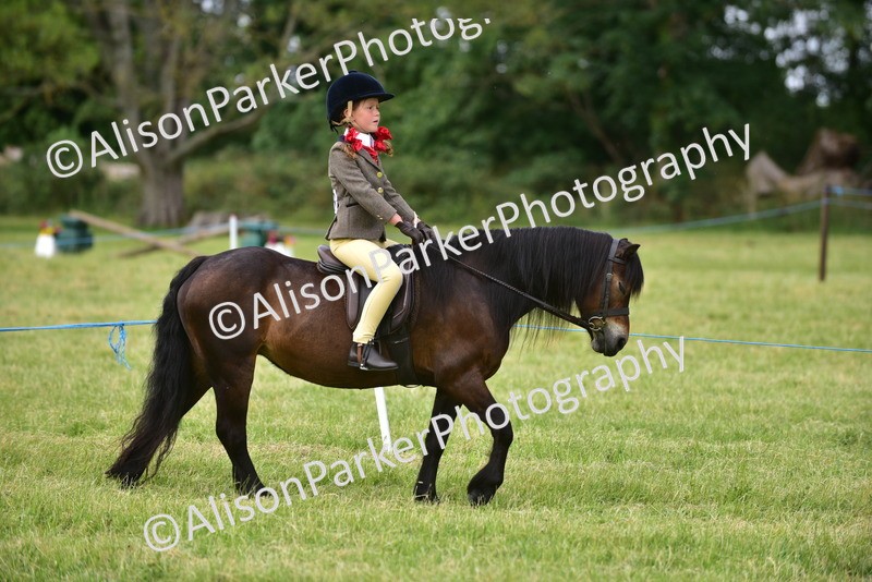 20260614-3638 - Class 15 - Prettiest Mare