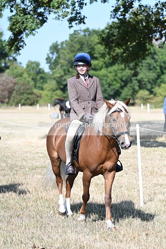 WJ7_3554 - Class 9 Mountain & Moorland Ridden