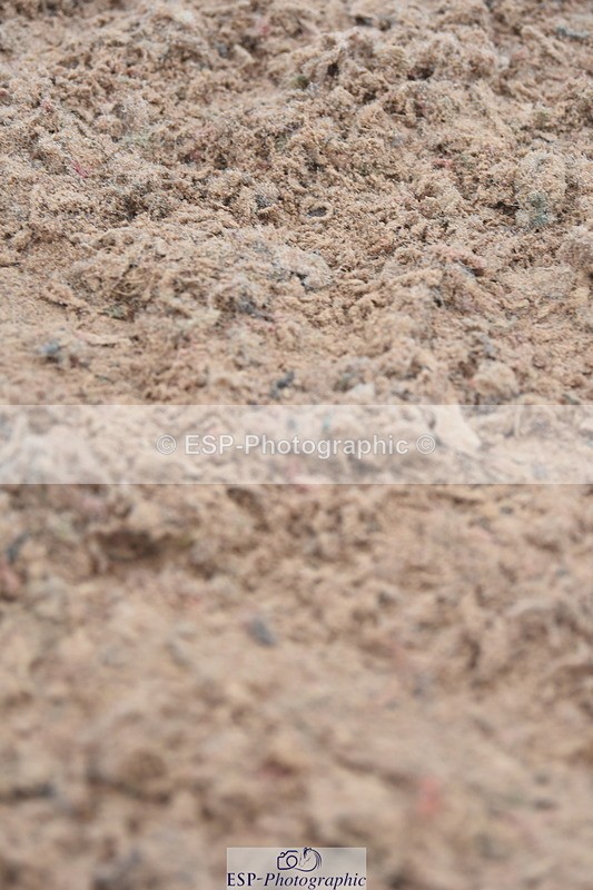 230902A-091752-00036 - Cls 6 85cm Amateur Quali