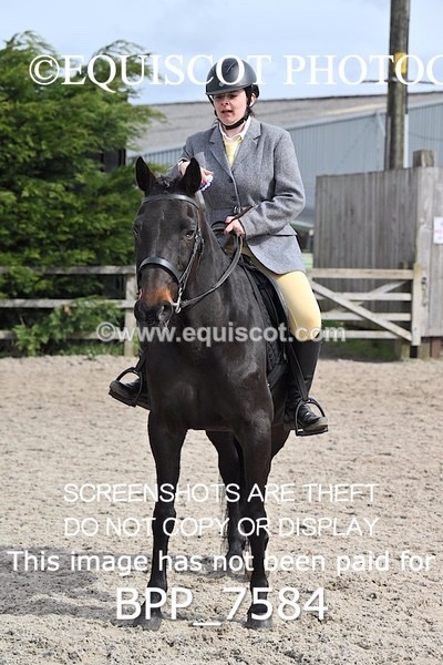 BPP_7584 - RING 1  (RIDDEN HORSES / IN HAND / VETERAN ETC)