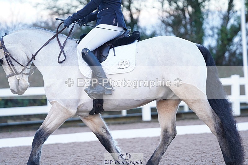 241214-094832-00079 - 145-CHLOE.DUNN-Tullys.Pinkeen.Pete