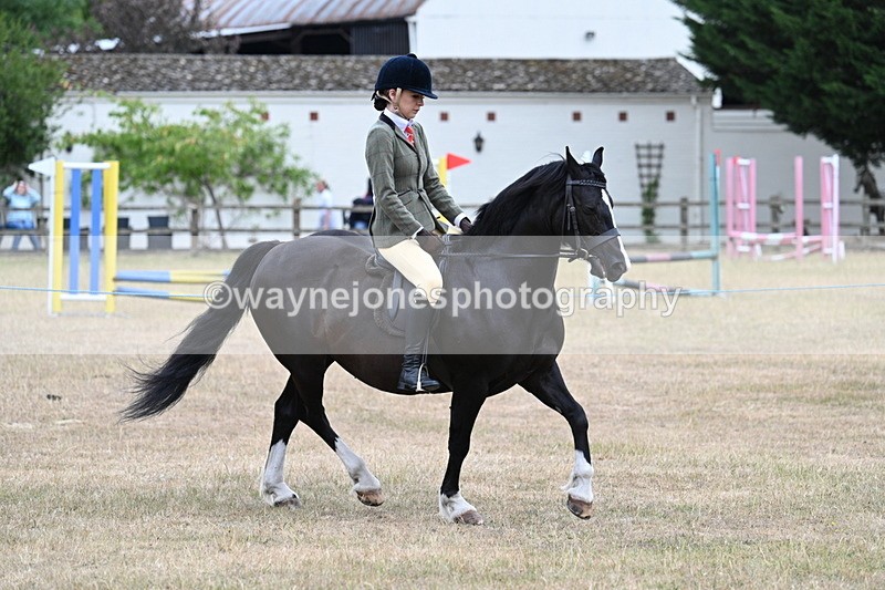 WJ7_0491 - Class 6 Ridden Mountain and Moorland