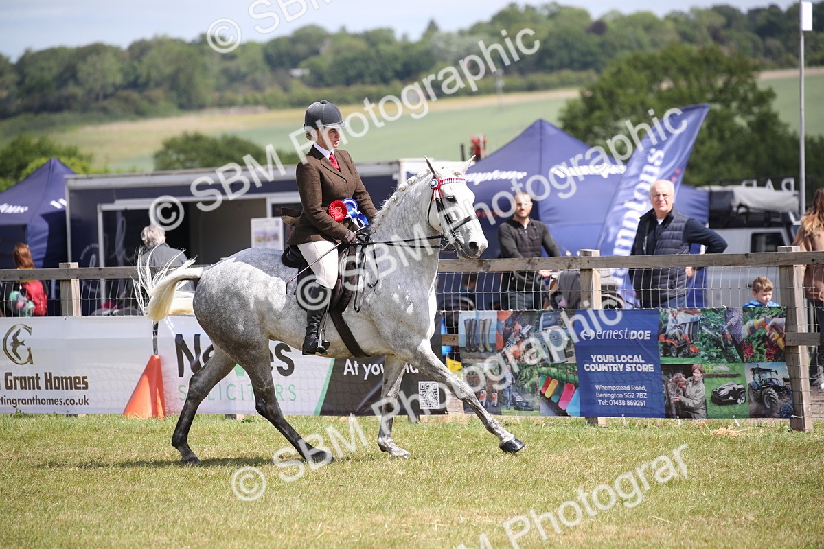 SBM_13347 - Class 95-96 - LIHS BSHA Rising Star Hack Riding Horse