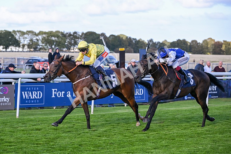 230925-Race 6-Kiss Me My Love-1994 - Race 6