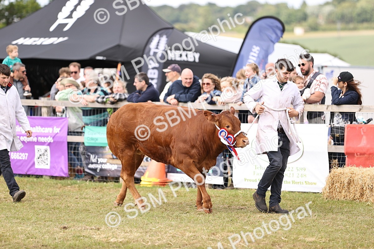 SBM_16903 - Grand Parade